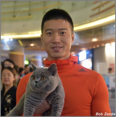 Kitties Land Unstoppable
